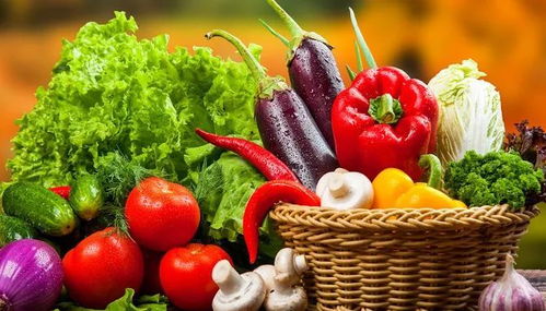 垃圾分類新潮流 苗木廢棄物如何處理？生活垃圾分類實用小妙招